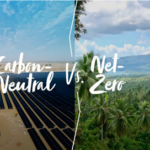 What’s the difference between carbon neutral and net zero?